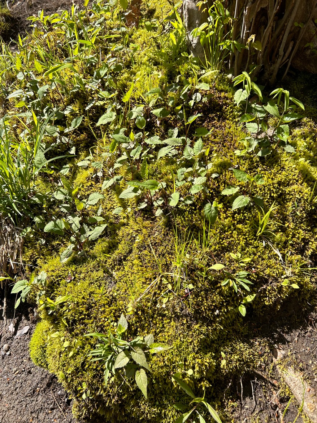 the maze of my&nbsp;mind